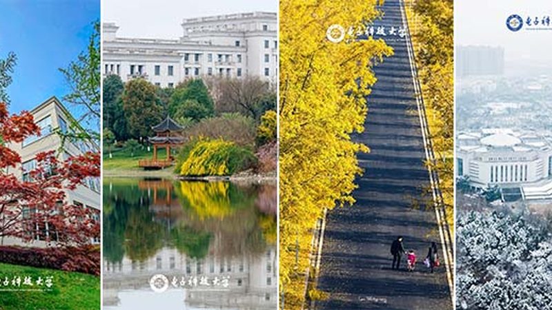 汽车继电器：价格背后的技术考量